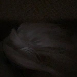 Meet your Posher, Doug